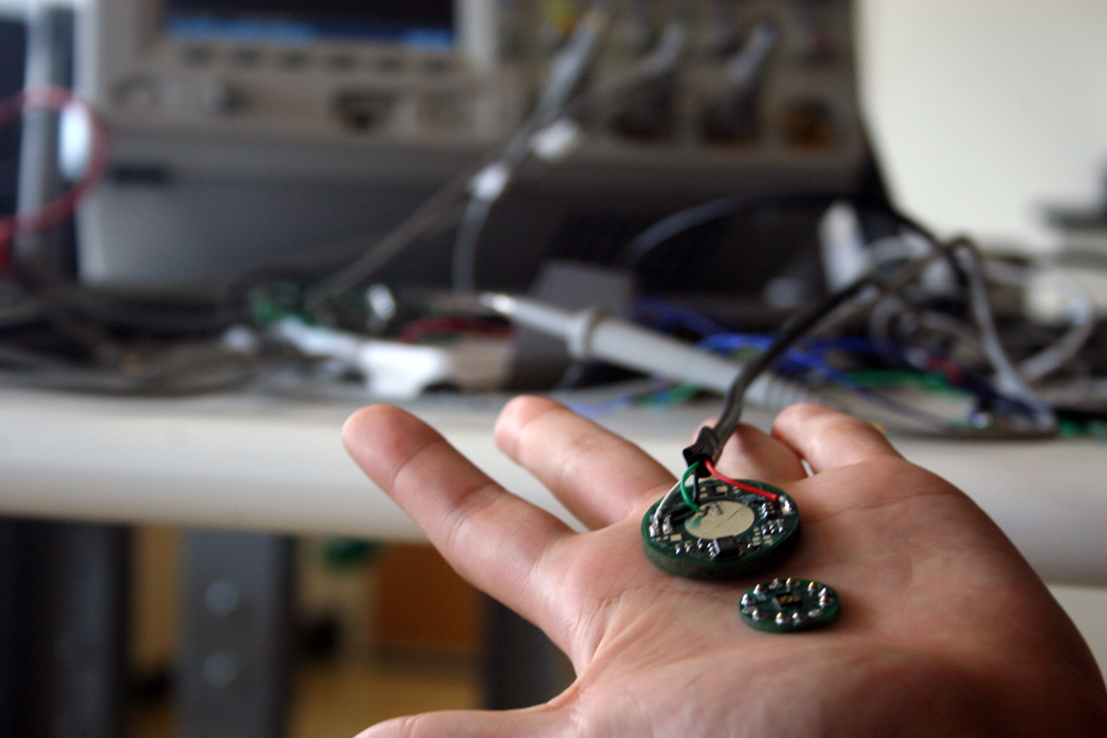 Wireless sensor networks in nature